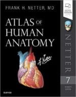 Atlas of Human Anatomy (Netter Basic Science) 7th Edition