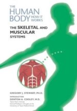 the skeletal and muscular systems (human body: how it works)