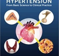 Endocrine Hypertension: From Basic Science to Clinical Practice 1st Edition