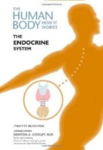 The Endocrine System (Human Body: How It Works)