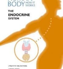 The Endocrine System (Human Body: How It Works)