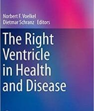 The Right Ventricle in Health and Disease (Respiratory Medicine) 2015th Edition