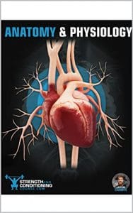 ANATOMY & PHYSIOLOGY: A SIMPLIFIED GUIDE TO THE STRUCTURES AND SYSTEMS OF THE HUMAN BODY (FUNCTIONAL ANATOMY)