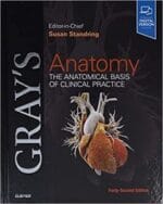 Gray’s Anatomy: The Anatomical Basis of Clinical Practice 42nd Edition
