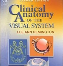 Clinical Anatomy of the Visual System 2nd Edition