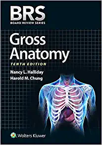 BRS Gross Anatomy (Board Review Series) Tenth, North American Edition