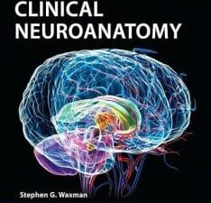 Clinical Neuroanatomy 27/E (Lange Medical Book) 27th Edition