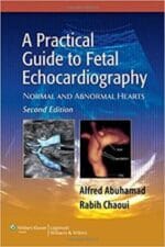 A Practical Guide to Fetal Echocardiography: Normal and Abnormal Hearts (Abuhamad, A Practical Guide to Fetal Echocardiography) 2nd Edition