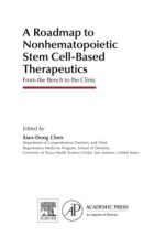 a roadmap to nonhematopoietic stem cell based therapeutics: from the bench to the clinic 1st edition