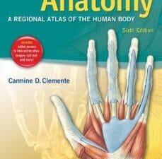 Anatomy: A Regional Atlas of the Human Body (6th edition)
