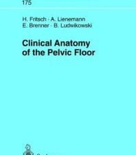 Clinical Anatomy of the Pelvic Floor