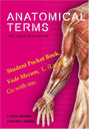 anatomical terms and their derivation
