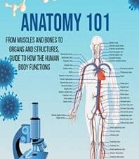 Anatomy 101: From Muscles and Bones to Organs and Structures, Guide to How the Human Body Functions