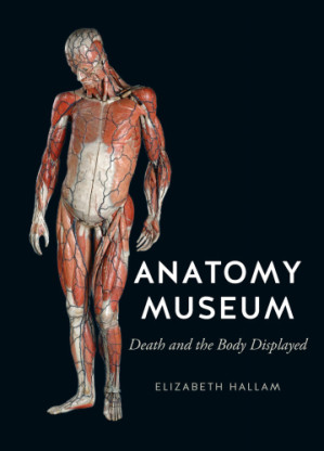 anatomy museum: death and the body displayed