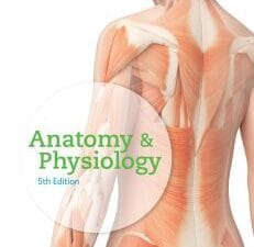 Anatomy & Physiology, 5th Edition
