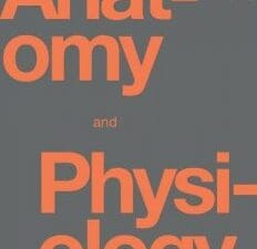 Anatomy and Physiology