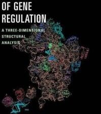 Anatomy of gene regulation: A three-dimensional structural analysis