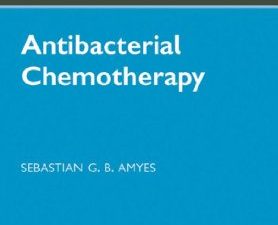 antibacterial chemotherapy: theory, problems, and practice 1st edition