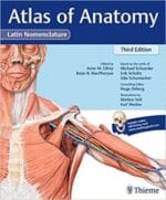 Atlas of Anatomy: Latin Nomenclature