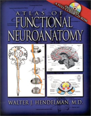 atlas of functional neuroanatomy