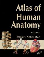 atlas of human anatomy