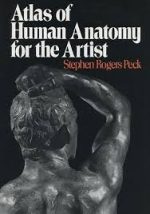 atlas of human anatomy for the artist