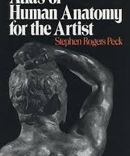 atlas of human anatomy for the artist