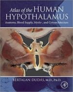 Atlas of the Human Hypothalamus: Anatomy, Blood Supply, Myelo-, and Cytoarchitecture 1st Edition
