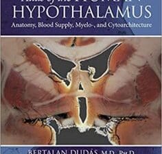 Atlas of the Human Hypothalamus: Anatomy, Blood Supply, Myelo-, and Cytoarchitecture 1st Edition