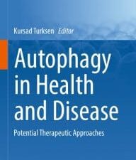 autophagy in health and disease potential therapeutic approaches