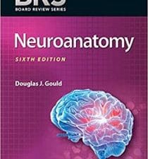 BRS Neuroanatomy (Board Review Series) 6th Edition