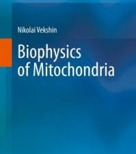 biophysics of mitochondria