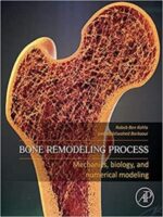 bone remodeling process: mechanics, biology, and numerical modeling
