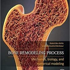 bone remodeling process: mechanics, biology, and numerical modeling