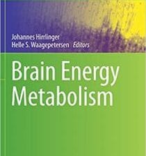 Brain Energy Metabolism