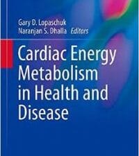 Cardiac Energy Metabolism in Health and Disease