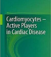 Cardiomyocytes – Active Players in Cardiac Disease