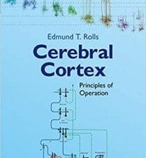 cerebral cortex: principles of operation