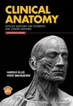 clinical anatomy