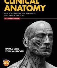 clinical anatomy