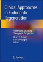 clinical approaches in endodontic regeneration: current and emerging therapeutic perspectives