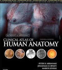clinical atlas of human anatomy, 7th edition
