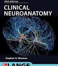 clinical neuroanatomy