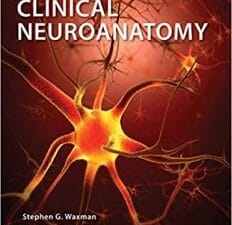 Clinical Neuroanatomy, Twentyninth Edition 29th Edition