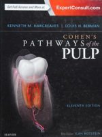 cohen’s pathways of the pulp expert consult 11th edition