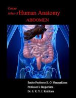 colour atlas of human anatomy – abdomen