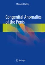 congenital anomalies of the penis