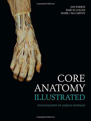 core anatomy – illustrated