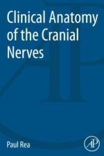 cranial nerves