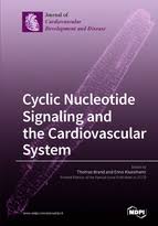 cyclic nucleotide signaling and the cardiovascular system